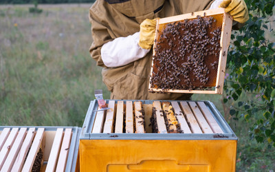 Similar image 22430216