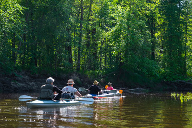 Similar image 22439159