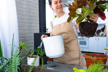 Similar image 22430224