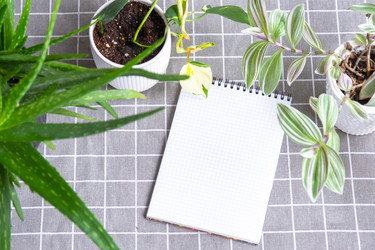 Similar image 22430227