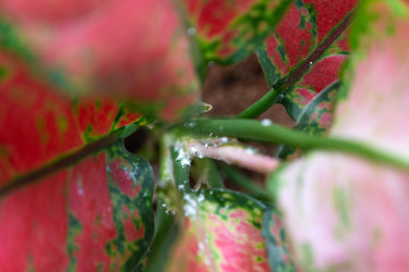 Similar image 22430228