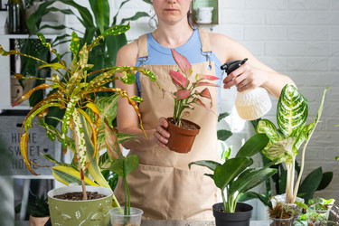 Similar image 22430231