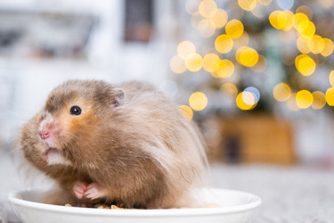 Similar image 22430233