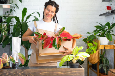 Similar image 22430239