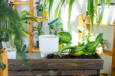 Similar image 22430243