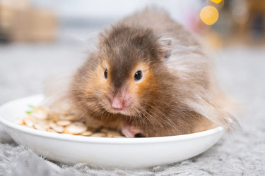 Similar image 22430244