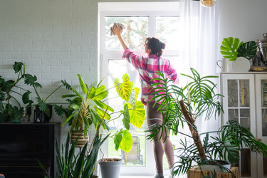 Similar image 22430250