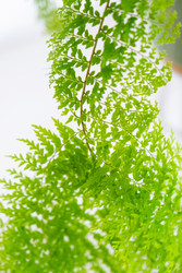 Similar image 22430266