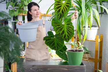 Similar image 22430273