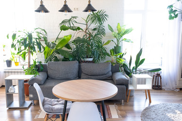 Similar image 22430275