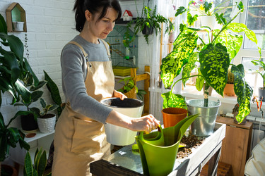 Similar image 22430280