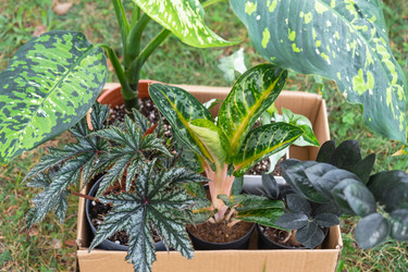 Similar image 22430281