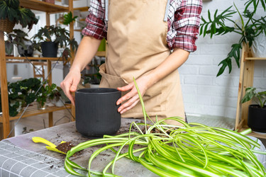 Similar image 22430282