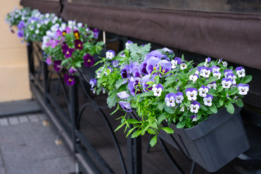 Similar image 22430284