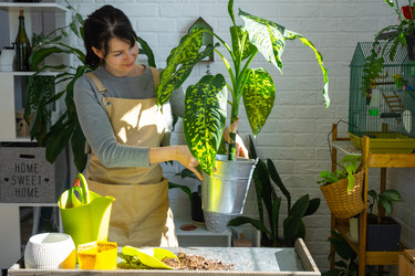 Similar image 22430287