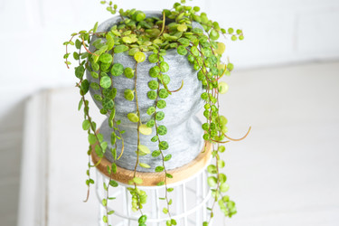 Similar image 22430293