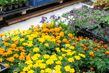 Similar image 22430295