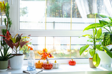 Similar image 22430298