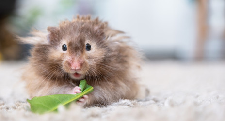 Similar image 22430302