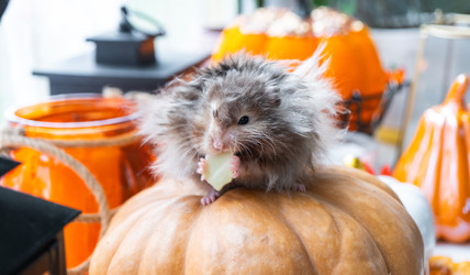 Similar image 22430307