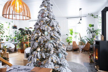 Similar image 22423232