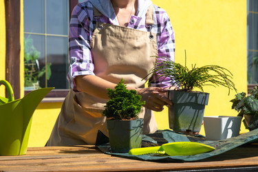 Similar image 22423234