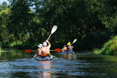 Similar image 22439161