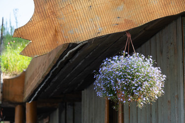 Similar image 22423240