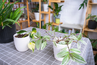 Similar image 22423245