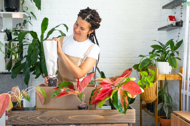 Similar image 22423247