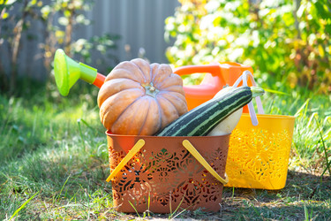 Similar image 22423251