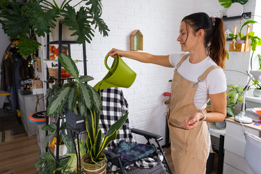 Similar image 22423252