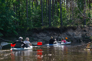 Similar image 22423255