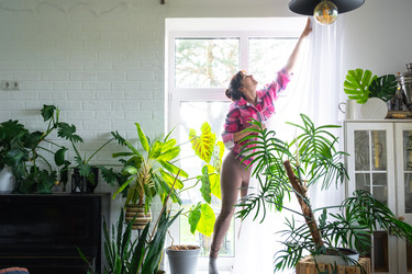 Similar image 22423257