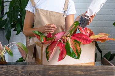 Similar image 22423259