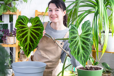 Similar image 22423266