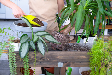 Similar image 22423267