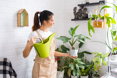 Similar image 22423269