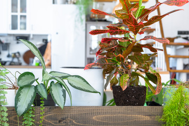 Similar image 22423270