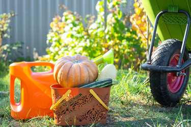 Similar image 22423271