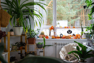 Similar image 22430310