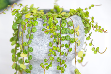 Similar image 22430312