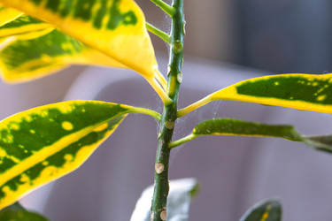 Similar image 22430325