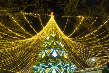 Similar image 22430327