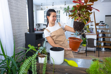 Similar image 22430328