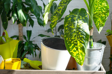 Similar image 22430332