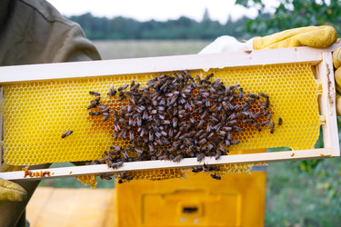 Similar image 22430334