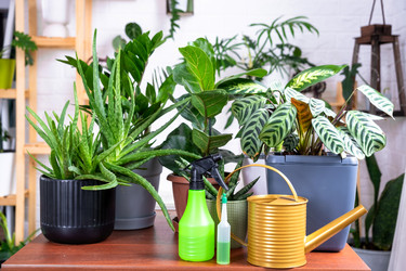 Similar image 22430349