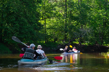 Similar image 22430355