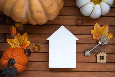 Similar image 22430356